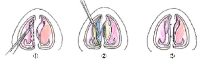 どんなものなの?